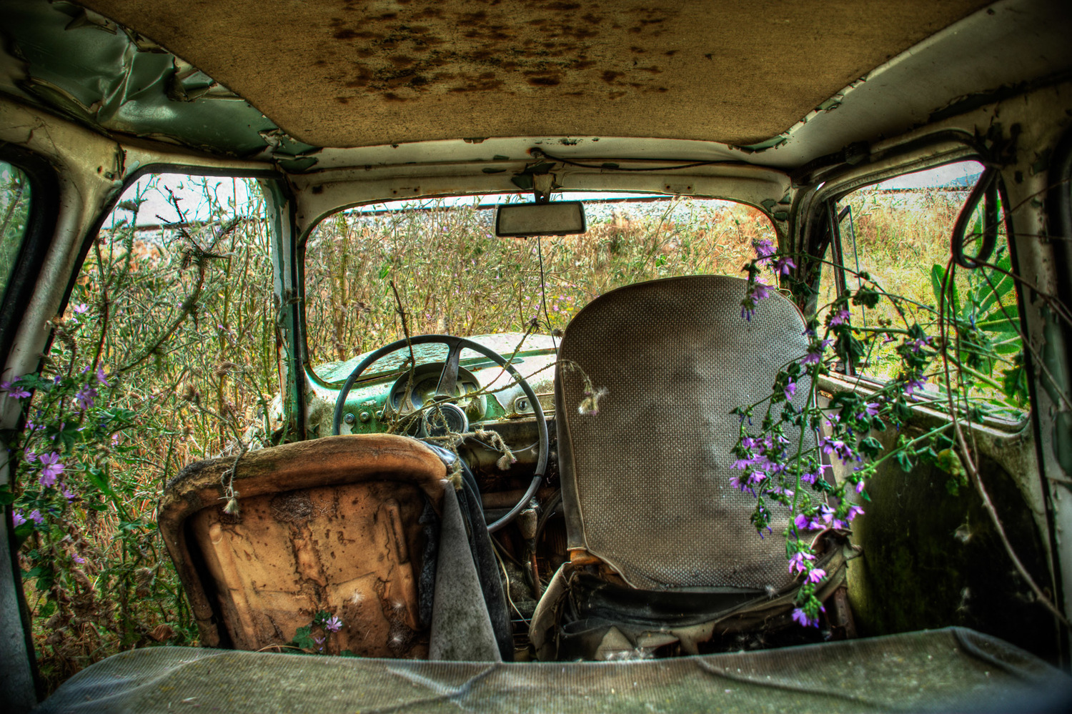 TODO-- | Photo Title: Abandoned Car In Field | 
        Photo by Alicia Rius ©2023