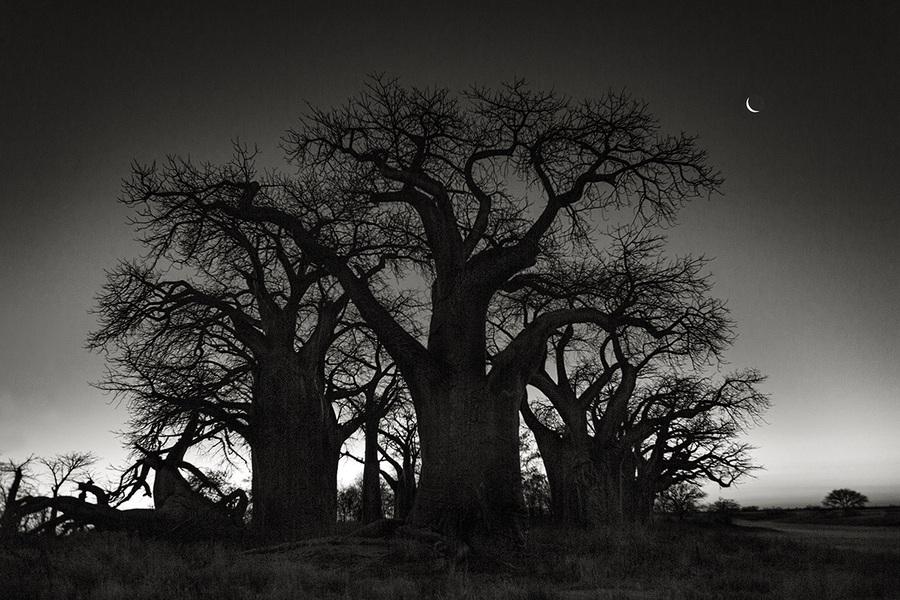 | Photo Title: Baines Circle of Seven | 
        Photo by Beth Moon ©2023