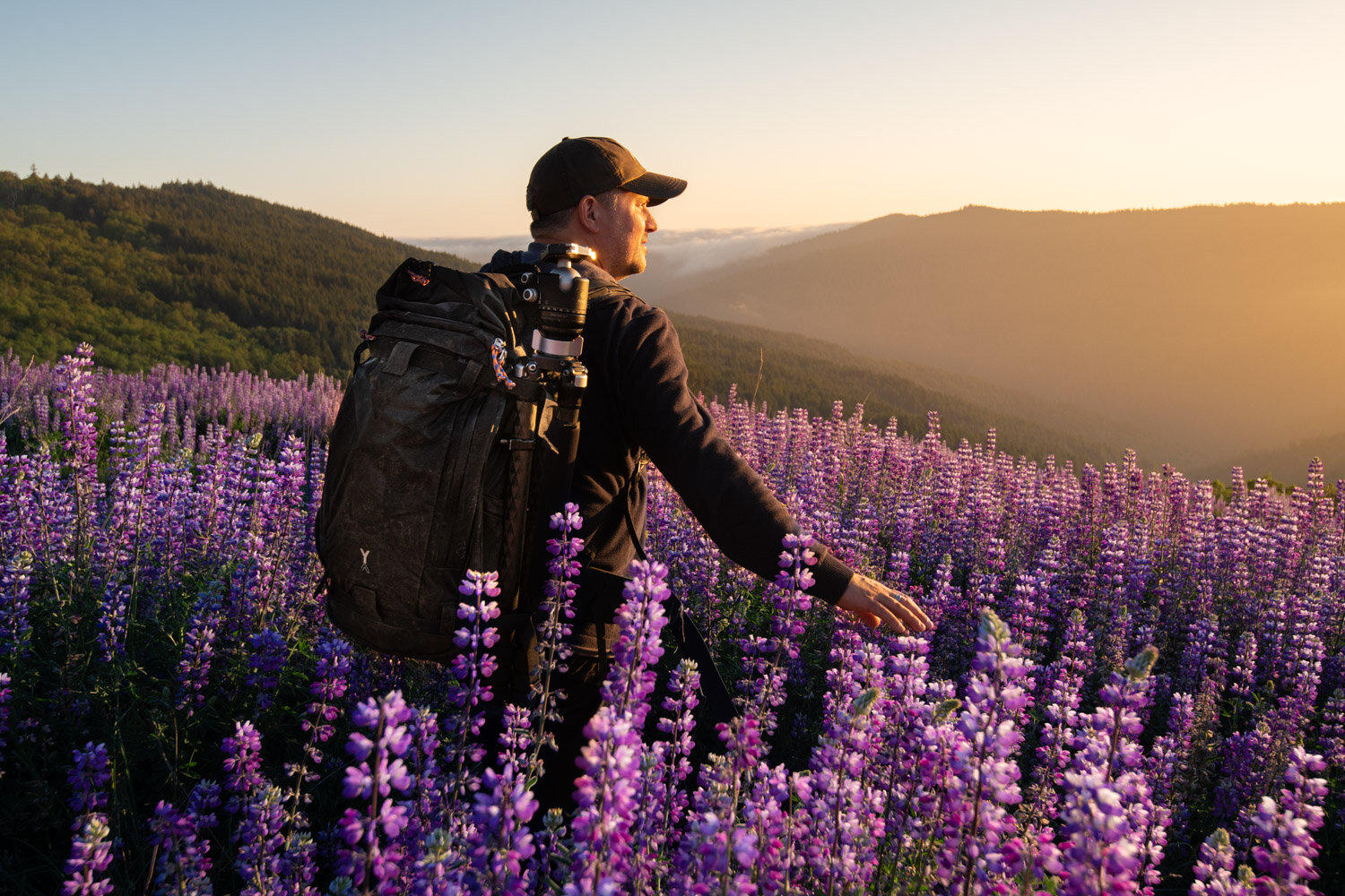 Chris walking in a field of lupine flowers at Bald hills California. | Titled: Bald Hills Portrait | ©2020 Chris Byrne