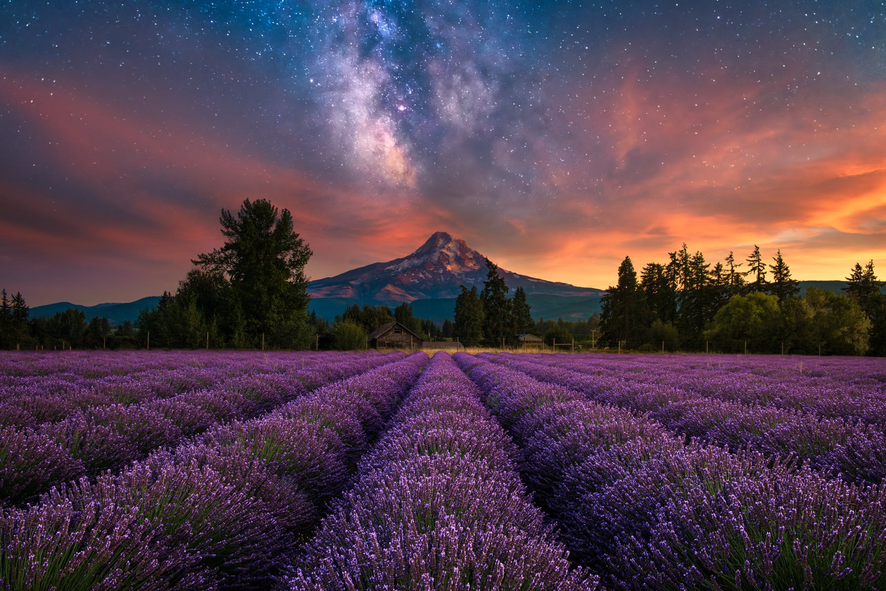 The Milky Way over a lavender field with Mt Hood in the background - photographed by Chris Byrne. | Photo Title: Believe In Magic | 
        Photo by Chris Byrne ©2023