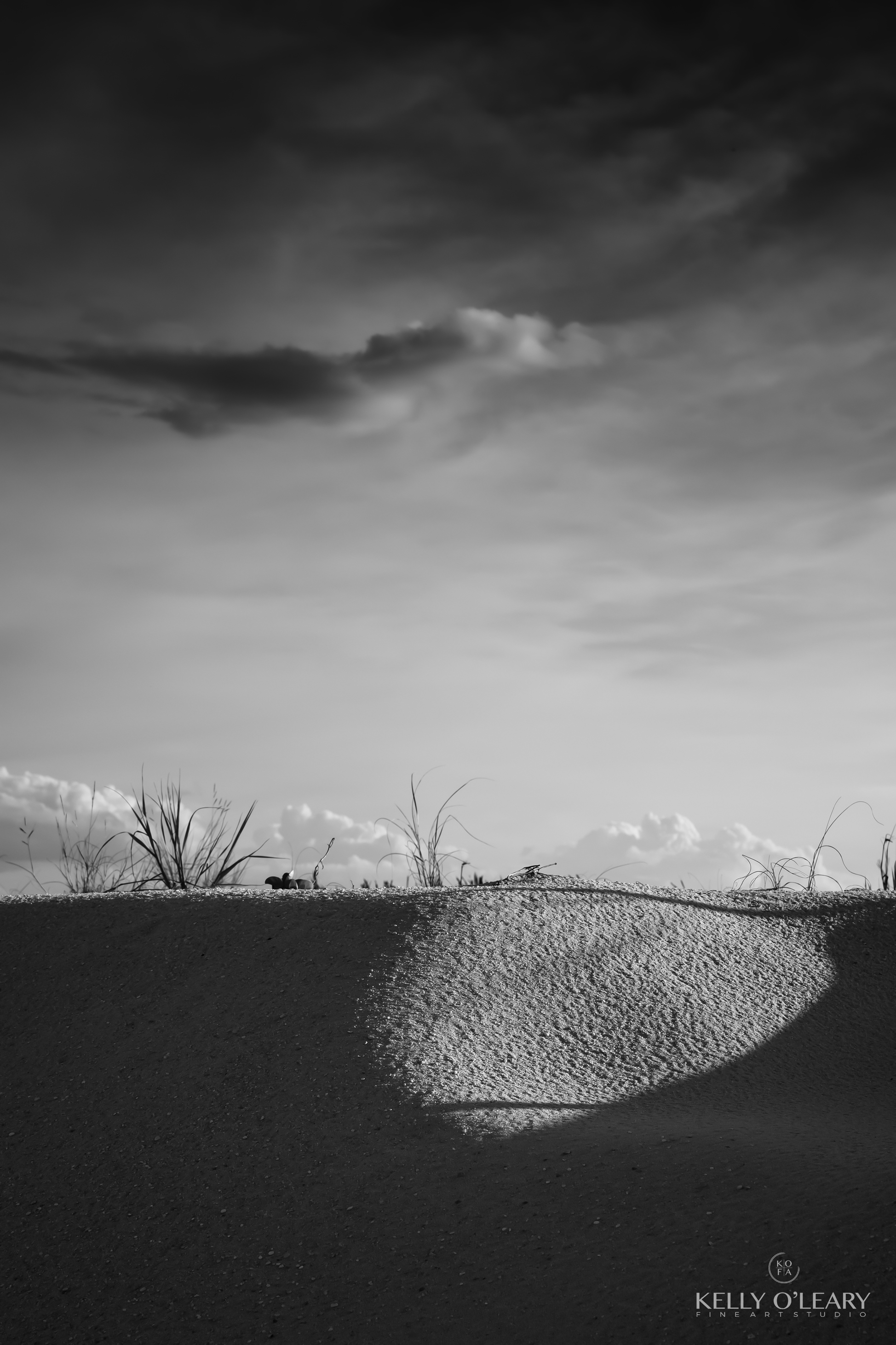 A black and white photo of a side-lit sand dune by Kelly O'Leary | Photo Title: Illumine No2 | 
        Photo by kelly O'Leary ©2023
